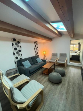 Chez Edouard - 2 appartements en 1 en triplex 12 personnes Centre ville Rotonde